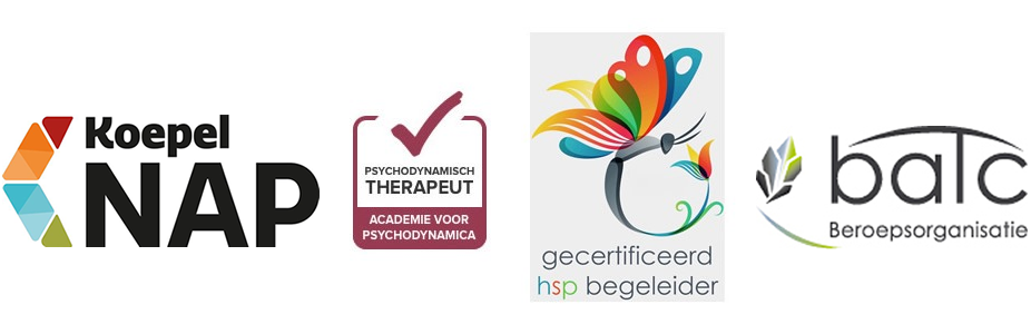 koepel-nap-batc-hsp